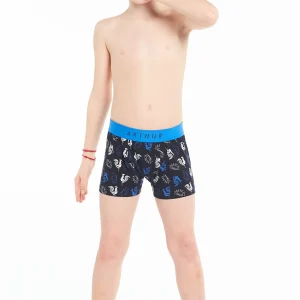Boxer Coq
